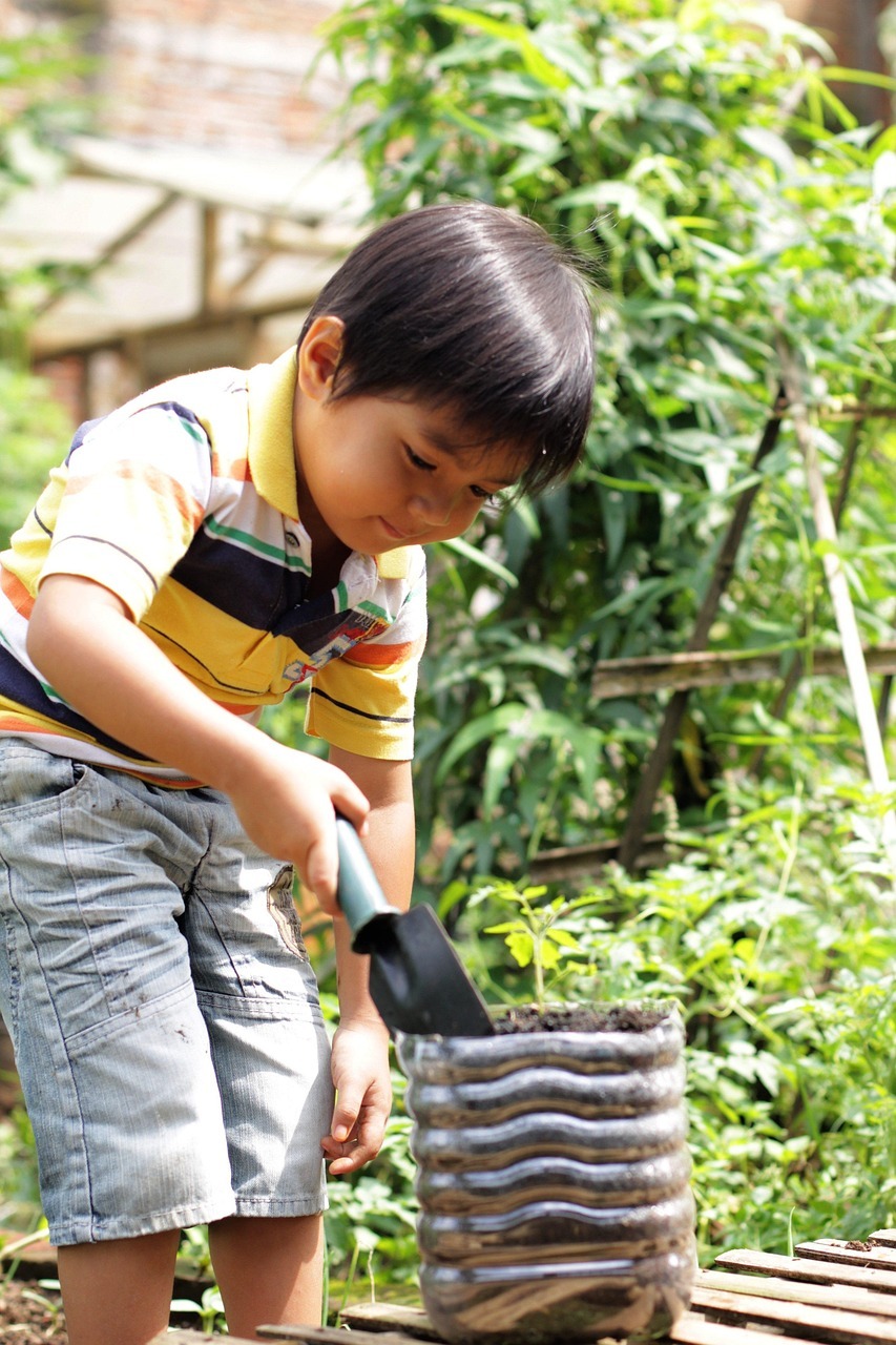 boy, planting, tomato, gardening, growing, plant, nature, young