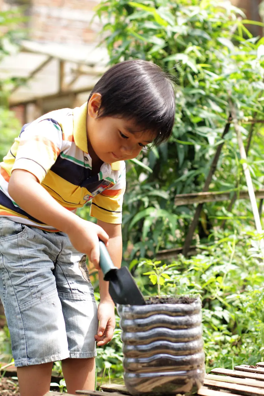 boy, planting, tomato, gardening, growing, plant, nature, young